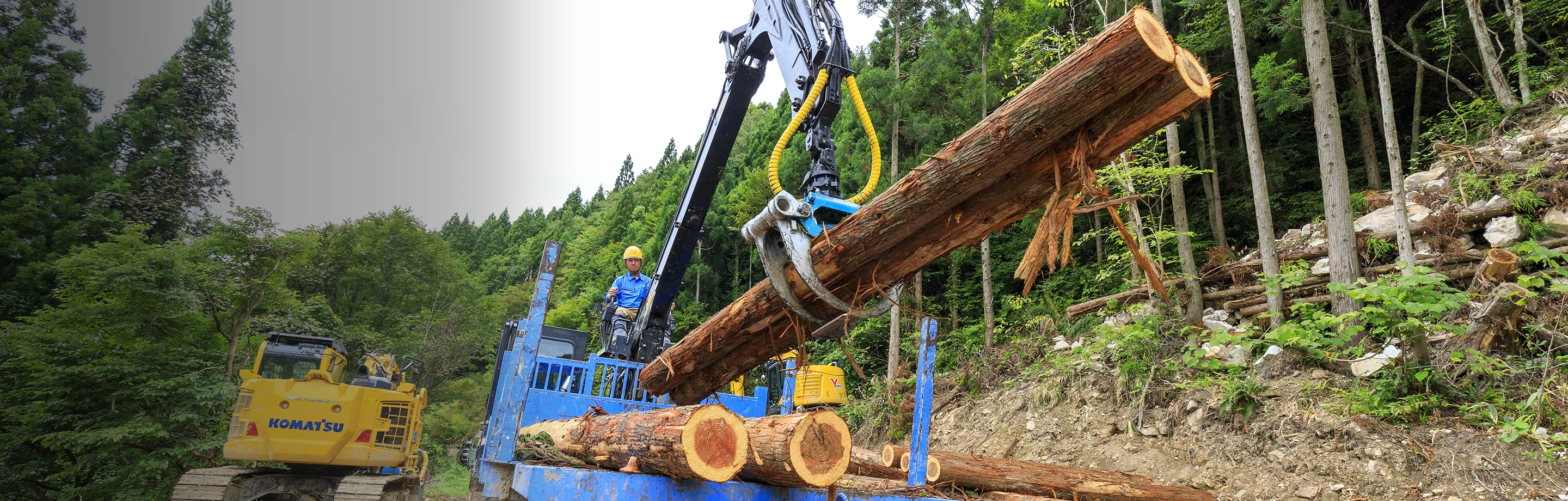 キャリア採用募集要項