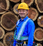 原木選別オペレーターの仕事